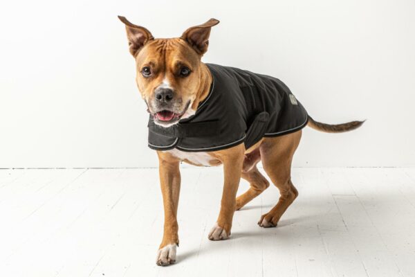 Blanket Jacket - Black - Image 3