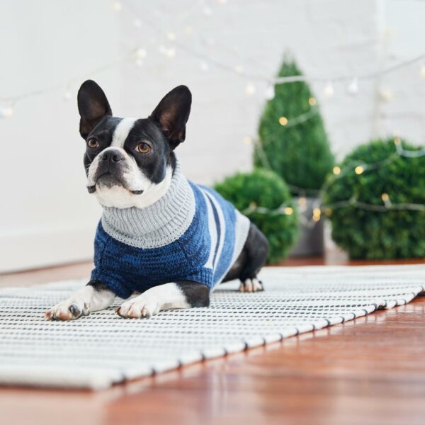 Trekking Sweater - Blue - Image 3