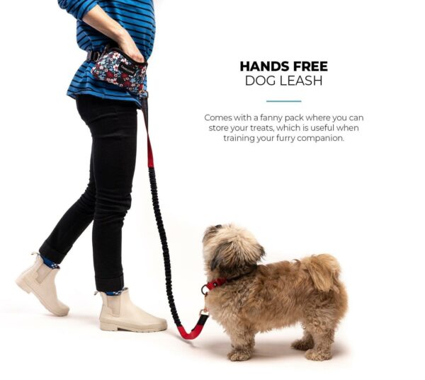Floral Navy Hands Free Dog Leash - Image 4